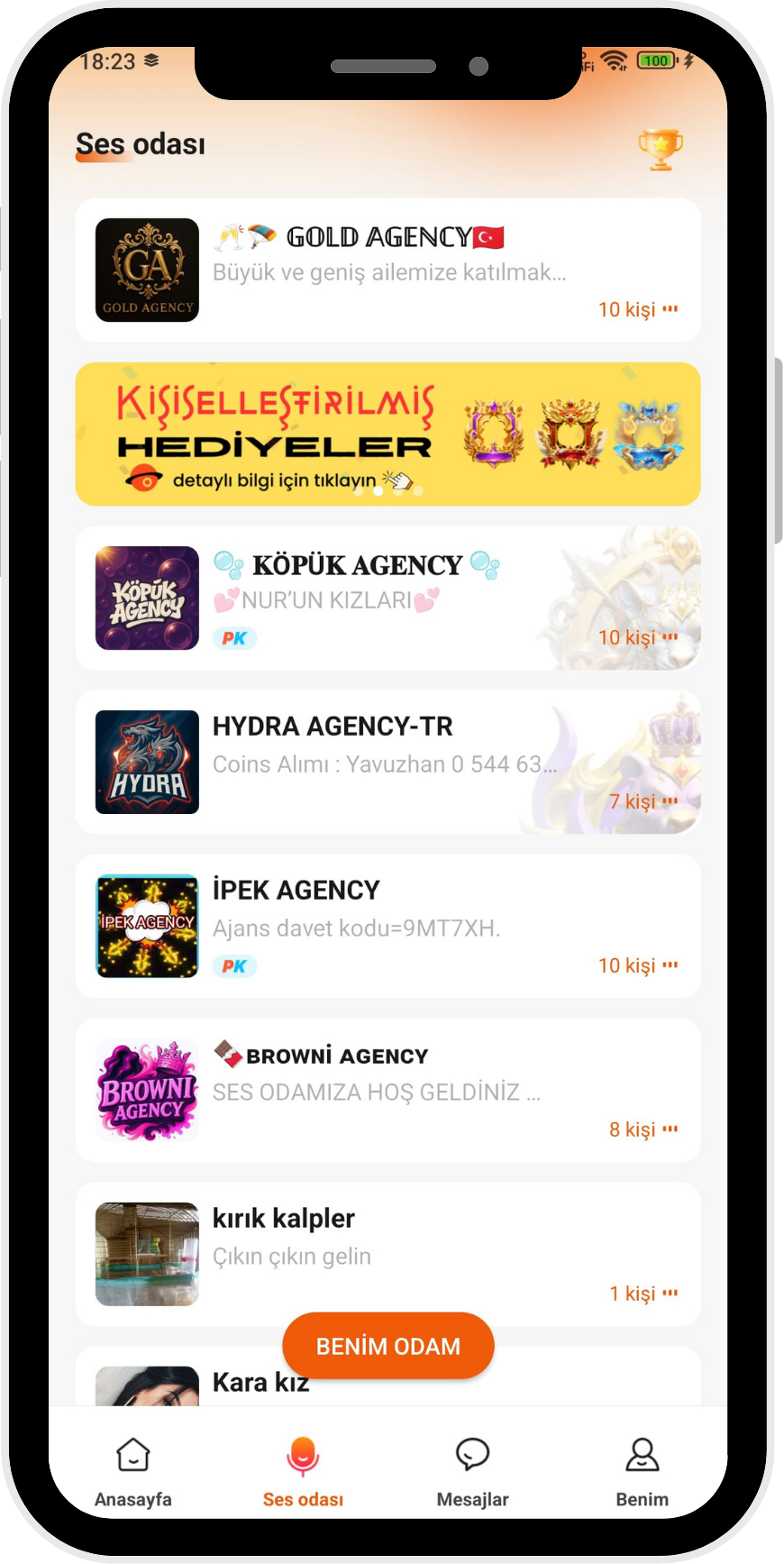 TanChat sohbet özellikleri ekranı